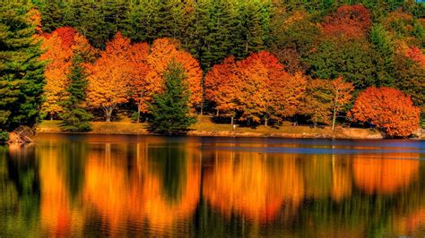 Colorful Autumn Leafed Trees Reflection On Calm Body Of Water During Daytime HD Nature ...