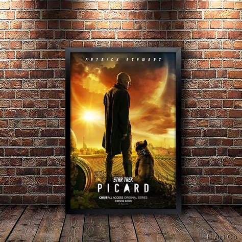 Star Trek: Picard, Movie Poster, Framed and Ready to Hang. - Etsy