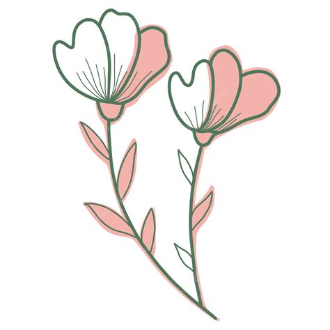 Flowers Line Art Aesthetic, Botanical Line, Flowers Line, Flower Aesthetic PNG Transparent ...