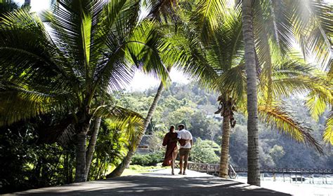 Four Seasons Tamarindo Ultra Luxury Hotel | Journey Mexico