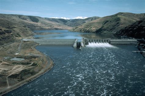 The Case for Removing the Snake River Dams - Moldy Chum