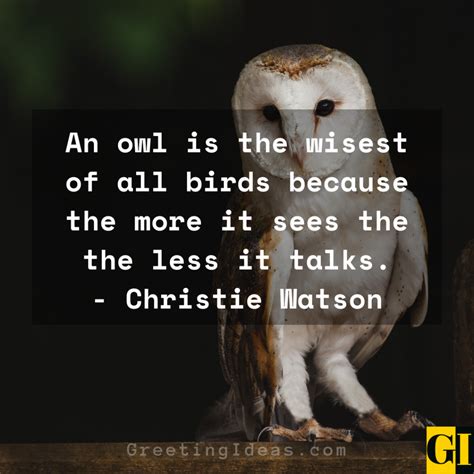 20 Wise Old Owl Quotes, Sayings and Phrases