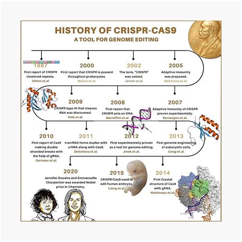 "HISTORY OF CRISPR-CAS9: A tool for genome editing" Photographic Print for Sale by ScienceStores ...