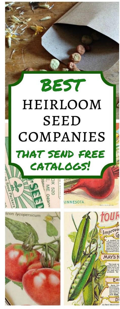 Top 10 Heirloom Seed Catalogs | Heirloom seeds catalog, Heirloom seeds, Food garden