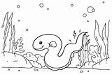 20  Eel Coloring Pages Free Printable PDF & Online sketch template