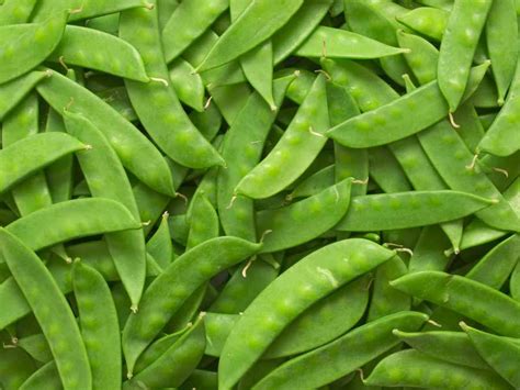 Snow Peas (250g) | Jesmond Fruit Barn | In Store or Online