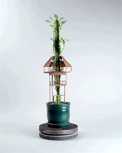 jedediah corwyn voltz builds tiny treehouses in succulent and cacti plants | Miniature trees ...