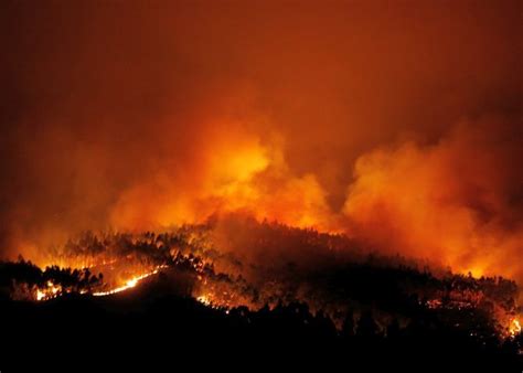 Massive Portugal forest fire kills 57 - Rediff.com India News