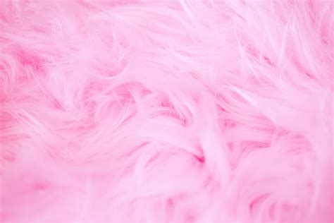 HD wallpaper: pink fur, feathers, texture, background, fluffy, pink ...