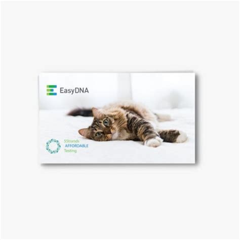 Best Cat DNA Tests For Breed ID, Genetic Health Risks & More