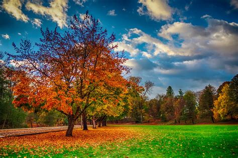 20 Stunning Photos Of Oregon's Fall Foliage | That Oregon Life