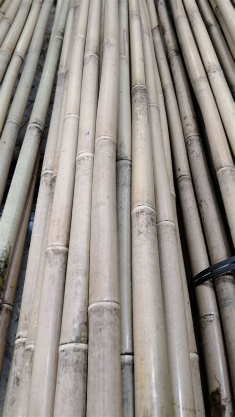 Nature Bamboo Poles for Flower - China Bamboo Cane and Bamboo Pole price