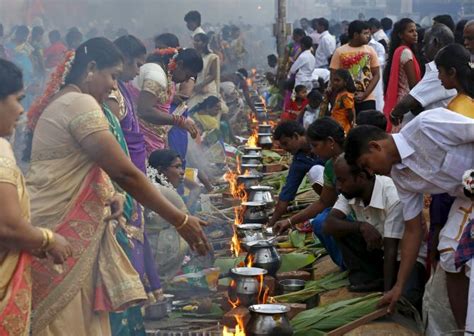 What is Kaanum Pongal? and why we are celebrating Pongal? Thai Pongal