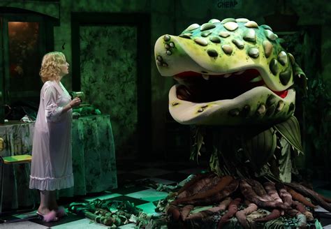 Lyric Stage’s ‘Little Shop of Horrors’ is a garden of grisly delights ...