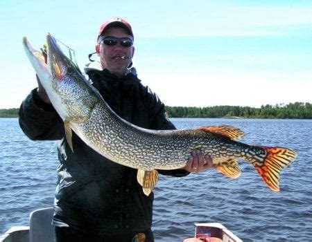 13 Best Pike Lures for Northern Pike | Trophy Pike Fishing