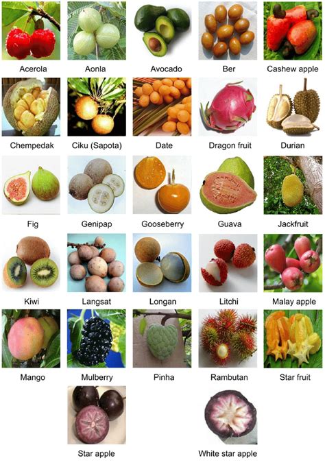 List Of Fruits With Pictures