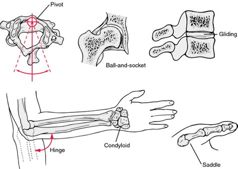 Gliding Joint Diagram