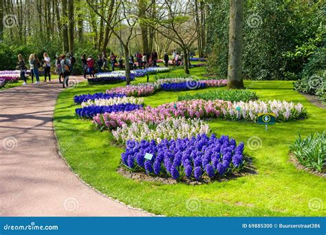 The Keukenhof Flower Garden Editorial Image - Image of grow, garden ...