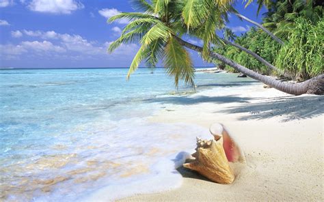 Tropical Beach Desktop Backgrounds - Wallpaper Cave