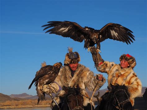 A golden eagle wingspan can exceed two meters | Bayan-Ölgii … | Flickr