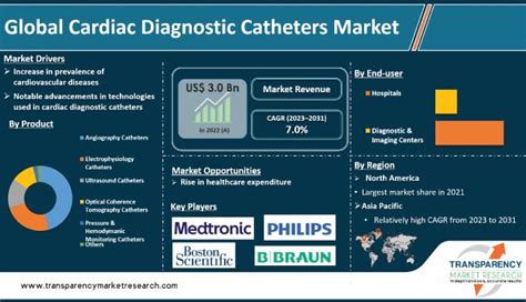 Cardiac Diagnostic Catheters Market Size, Forecast - 2031