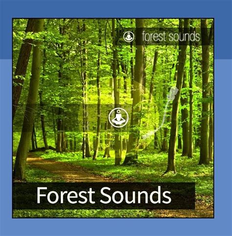 Forest Sounds: Amazon.co.uk: CDs & Vinyl