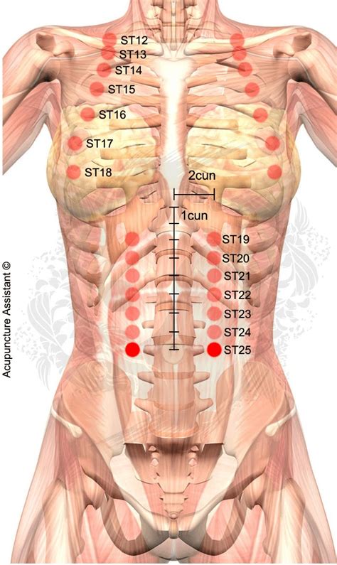 Pin on ACUPUNCTURE