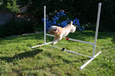 Dog Agility Jump : 8 Steps (with Pictures) - Instructables