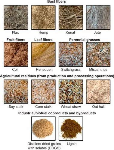 Banana fiber Raw NATURAL FIBRES, For Filling Material, Packaging Type ...