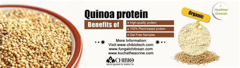 Quinoa protein - Vegetal Chitosan Manufacturer