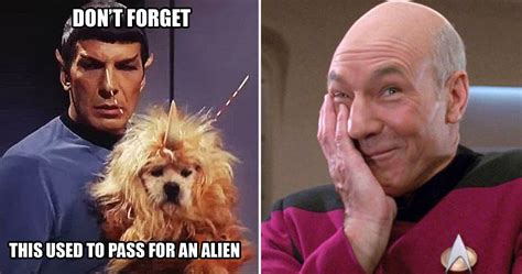 Funny Star Trek Memes