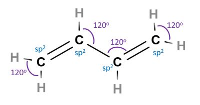 a) Draw the structure of 1,3-butadiene. Label the hybridization of each ...