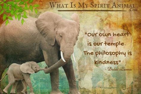 Elephant Quotes & Sayings | Animal Quotes & Sayings