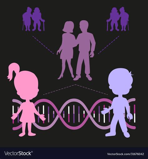 Family history dna genetics Royalty Free Vector Image