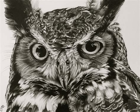 10+ Clever Owl Drawings for Inspiration 2023