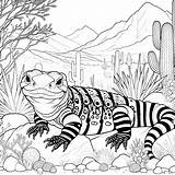 Desert Coloring Gila Monster Animals Landscape Drawing Oasis Animal  sketch template