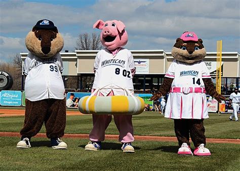 The West Michigan Whitecaps Are Hiring A New Mascot!