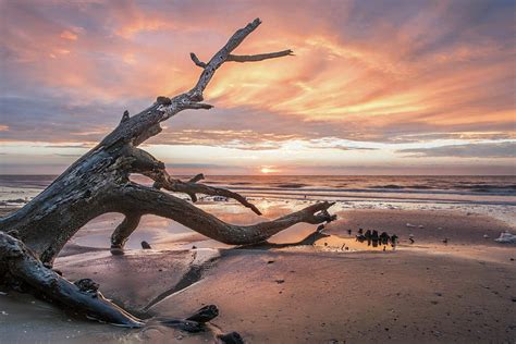 Botany Bay Sunrise Photograph by Diane Theis - Fine Art America