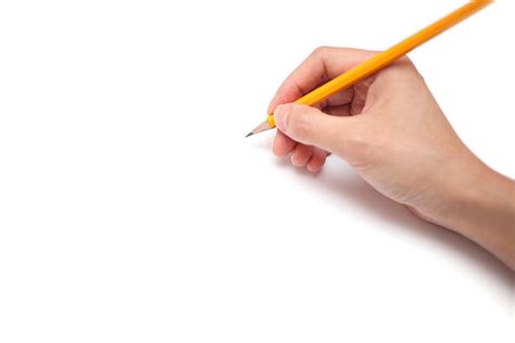 21,400+ Hand Pencil Drawing Stock Photos, Pictures & Royalty-Free Images - iStock