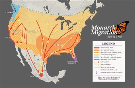 Monarch Butterfly Migration Map