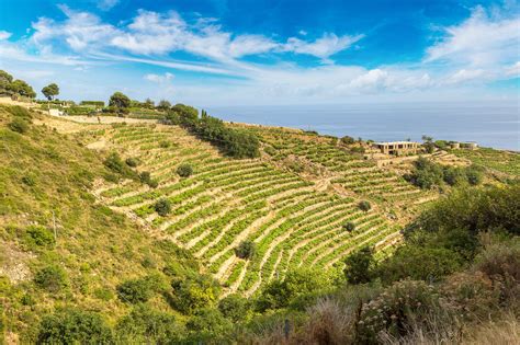 Your 2024 guide to Calabria wine region | Winetourism.com