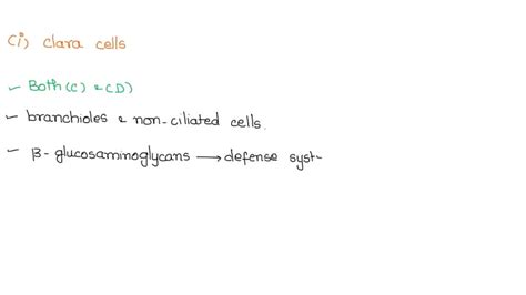 SOLVED: Clara cells: A- are present in the lower parts of the lungs. B- are analogous to ...