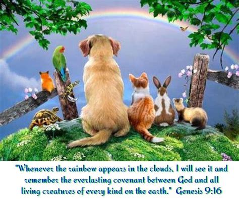 Animals in God's Plan!