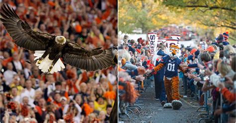 Why Auburn doesn’t technically have 2 mascots - SBNation.com