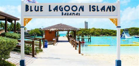 Blue Lagoon Island Beach Day | Bahamas Dolphin Encounte