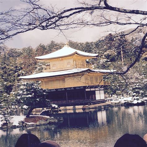 Snow day at the golden temple Kyoto Japan | Kyoto japan, House styles, Mansions