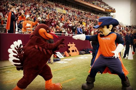 VT vs UVA Hokies Football, College Football, Hokie Bird, University Of Virginia, State ...