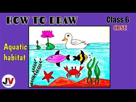 Aquatic habitat drawing|water habitat drawing|underwater drawing|how to ...