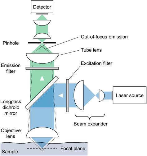 11: Schematic depiction of a typical confocal microscope. | Download Scientific Diagram ...