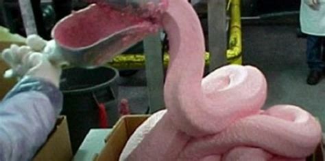 McDonald’s drops use of gooey ammonia-based ‘pink slime’ in hamburger meat » BagOfNothing.com